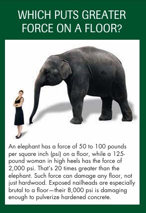 elephant vs heels